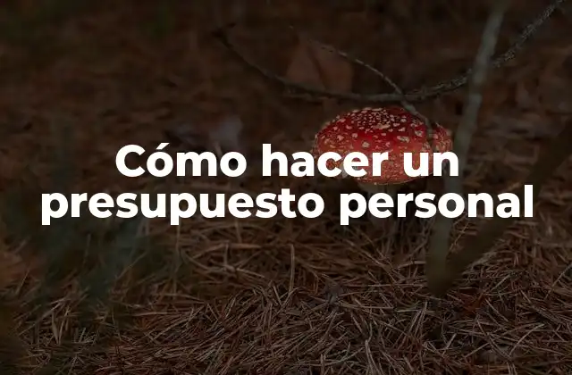 Cómo Hacer un Presupuesto Personal