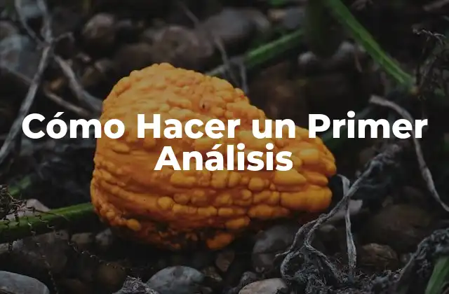 Cómo Hacer un Primer Análisis