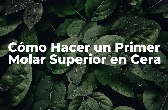 Cómo Hacer un Primer Molar Superior en Cera