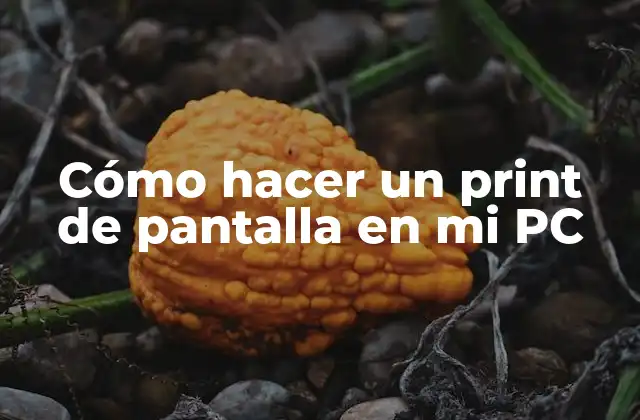 Cómo Hacer un Print de Pantalla en Mi Pc