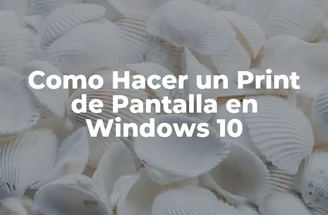 Como Hacer un Print de Pantalla en Windows 10