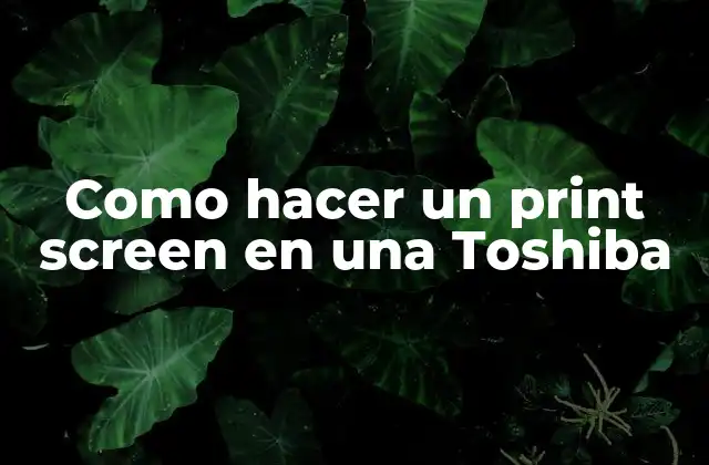 Como Hacer un Print Screen en una Toshiba