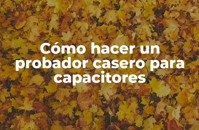 Cómo Hacer un Probador Casero para Capacitores