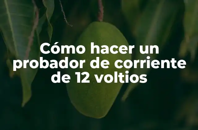 Cómo Hacer un Probador de Corriente de 12 Voltios 2 Cómo hacer un probador de corriente de 12 voltios