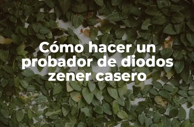 Cómo Hacer un Probador de Diodos Zener Casero