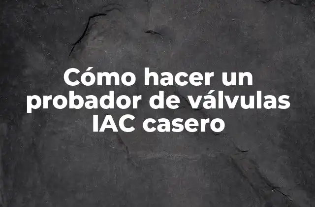 Cómo Hacer un Probador de Válvulas Iac Casero