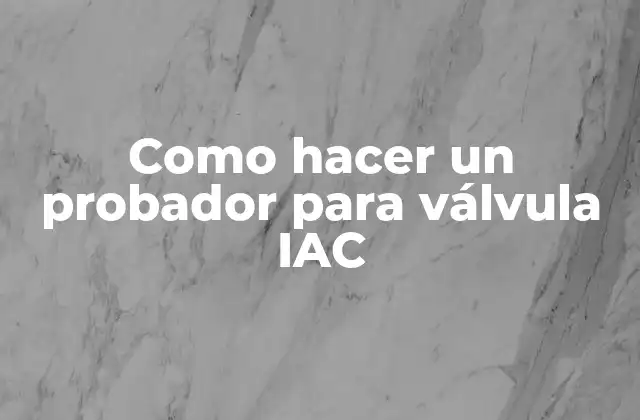 Como Hacer un Probador para Válvula Iac