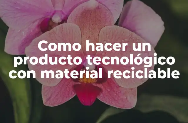 Como Hacer un Producto Tecnológico con Material Reciclable