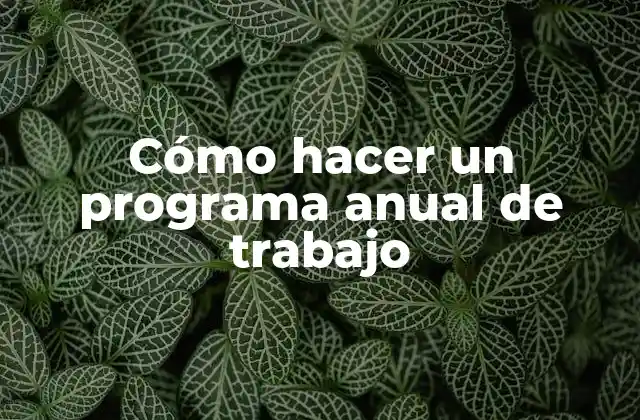 Cómo Hacer un Programa Anual de Trabajo 2 Cómo hacer un programa anual de trabajo