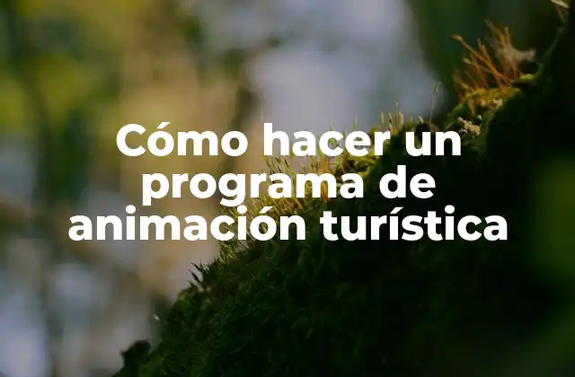 Cómo Hacer un Programa de Animación Turística