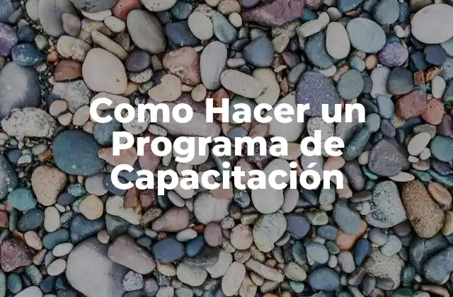 Como Hacer un Programa de Capacitación