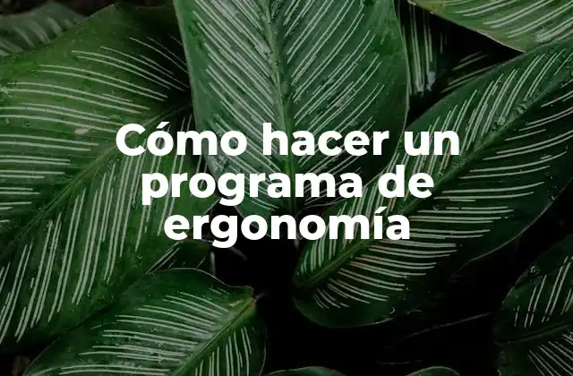 Cómo Hacer un Programa de Ergonomía