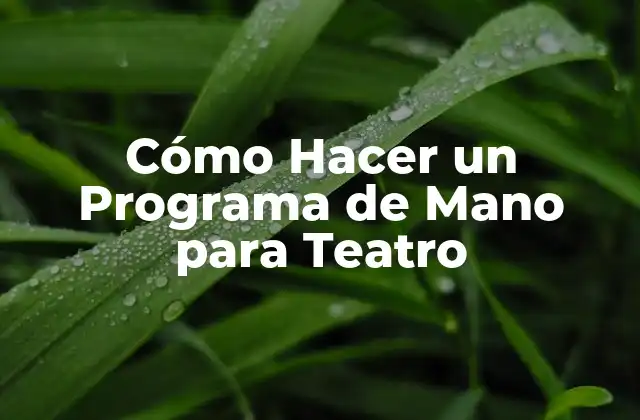 Cómo Hacer un Programa de Mano para Teatro
