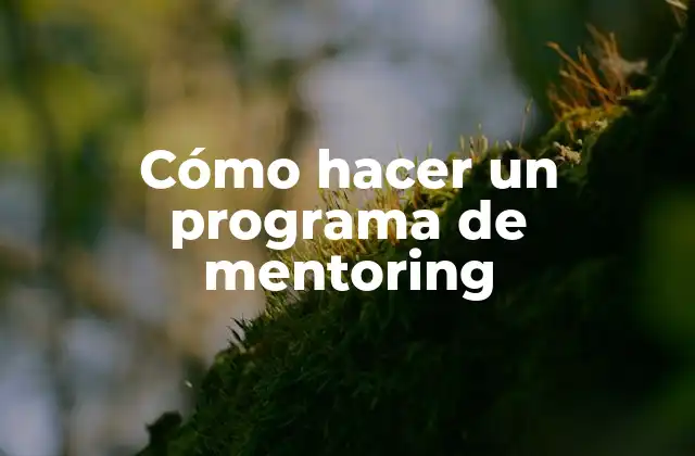 Cómo Hacer un Programa de Mentoring