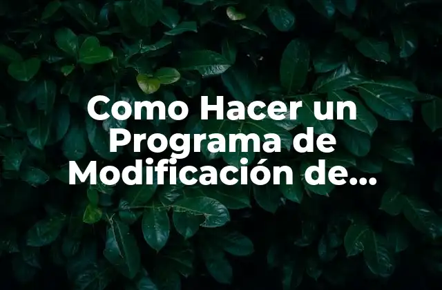 Como Hacer un Programa de Modificación de Conducta