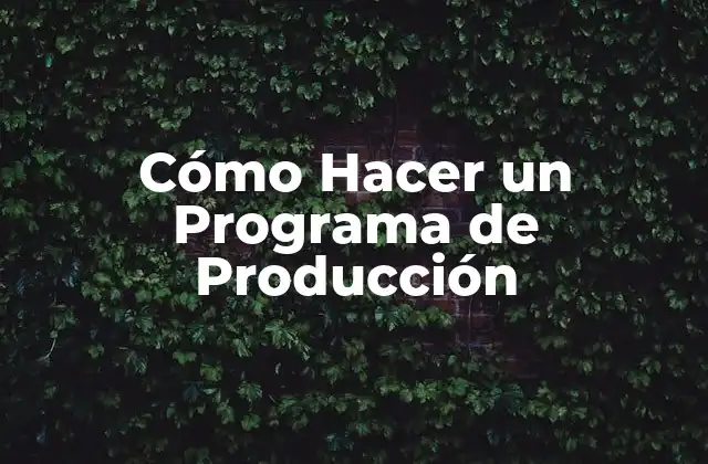 Cómo Hacer un Programa de Producción