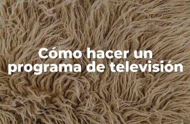 Cómo Hacer un Programa de Televisión