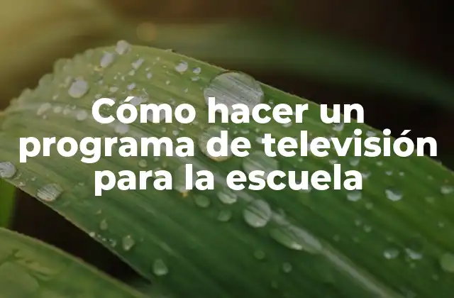 Cómo Hacer un Programa de Televisión para la Escuela