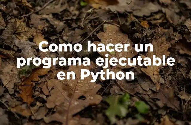 Como Hacer un Programa Ejecutable en Python