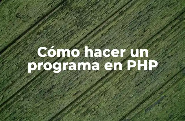 Cómo hacer un programa en PHP