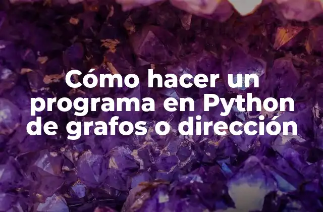 Cómo hacer un programa en Python de grafos o dirección