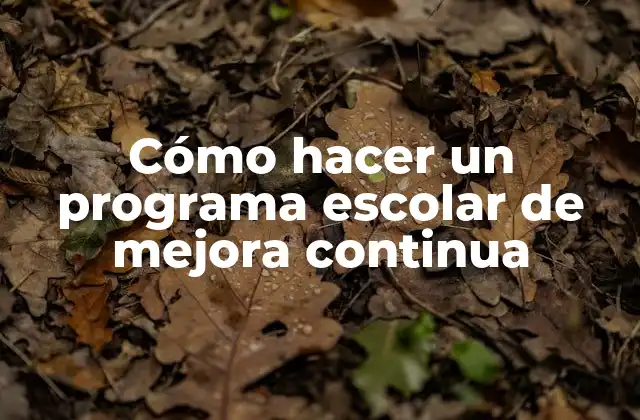 Cómo Hacer un Programa Escolar de Mejora Continua