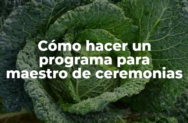 Cómo Hacer un Programa para Maestro de Ceremonias