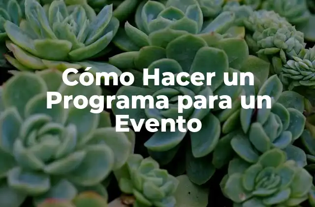 Cómo Hacer un Programa para un Evento