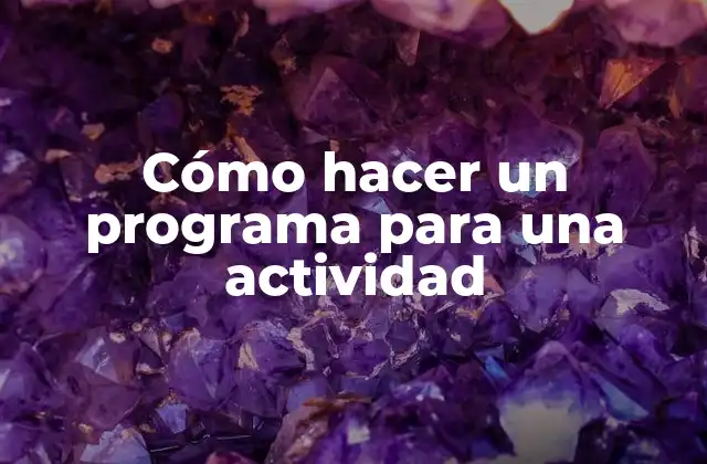 Cómo Hacer un Programa para una Actividad