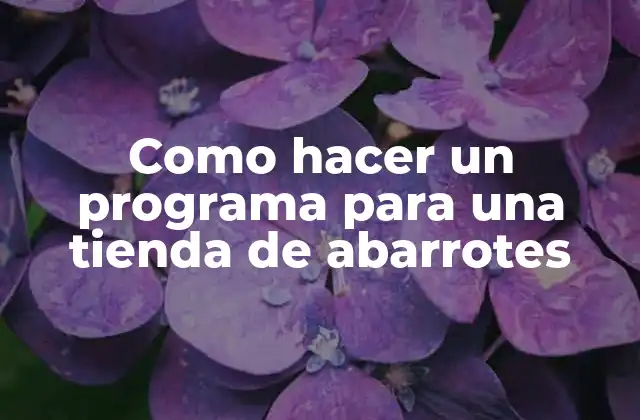Como Hacer un Programa para una Tienda de Abarrotes