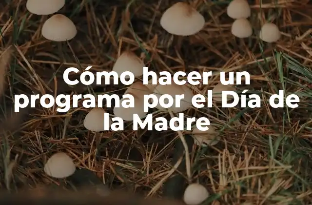 Cómo Hacer un Programa por el Día de la Madre 2 Cómo hacer un programa por el Día de la Madre