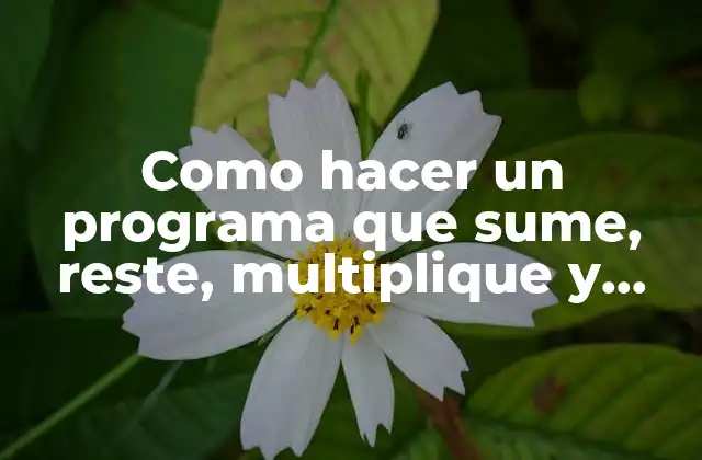 Como Hacer un Programa que Sume, Reste, Multiplique y Divida