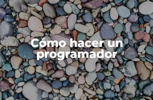 Cómo Hacer un Programador