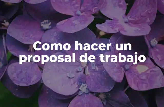 Como Hacer un Proposal de Trabajo 2 ¿Qué es un proposal de trabajo?