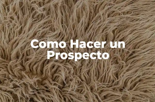 Como Hacer un Prospecto