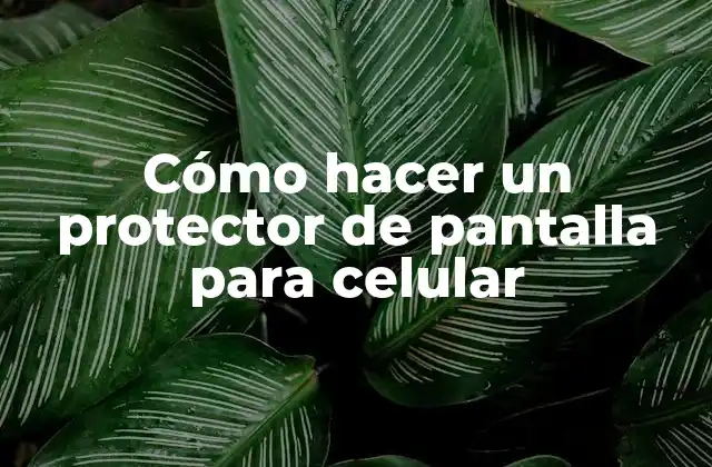 Cómo Hacer un Protector de Pantalla para Celular