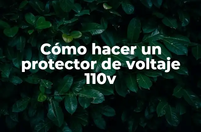 ¿Qué es un protector de voltaje 110v y para qué sirve?