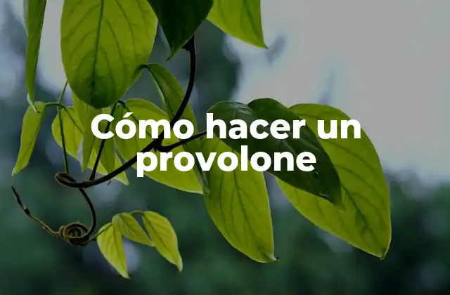 ¿Qué es el provolone y cómo se utiliza?