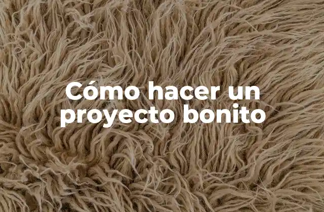 Cómo hacer un proyecto bonito