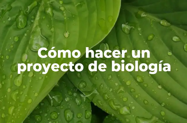 Cómo Hacer un Proyecto de Biología
