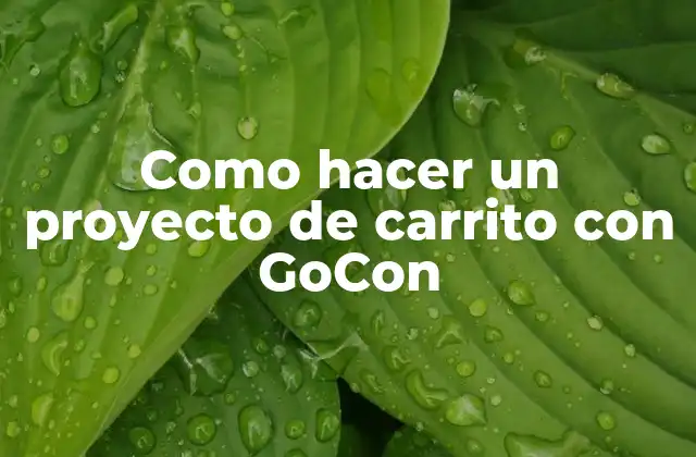Como Hacer un Proyecto de Carrito con Gocon