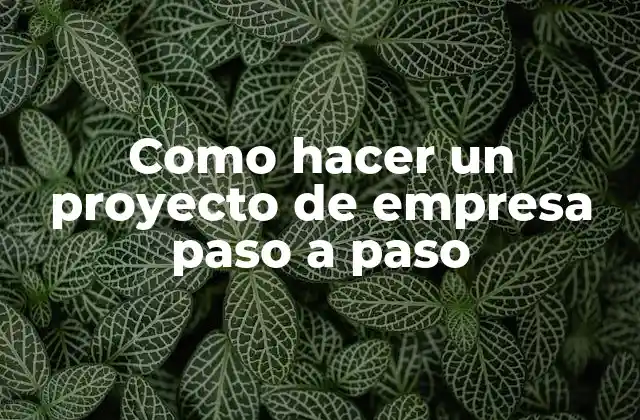 Como Hacer un Proyecto de Empresa Paso a Paso