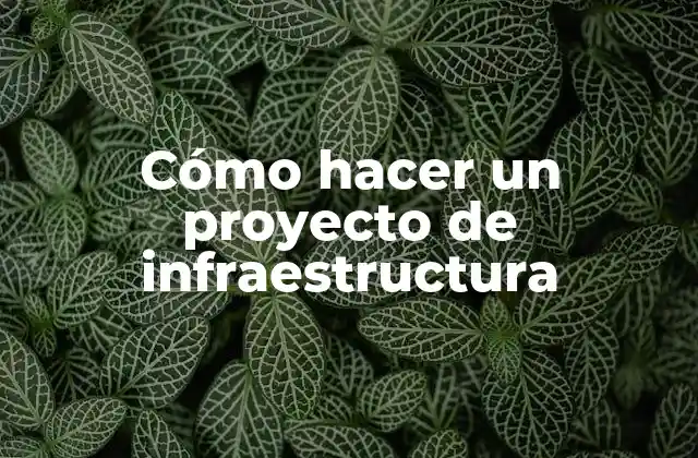 Cómo Hacer un Proyecto de Infraestructura