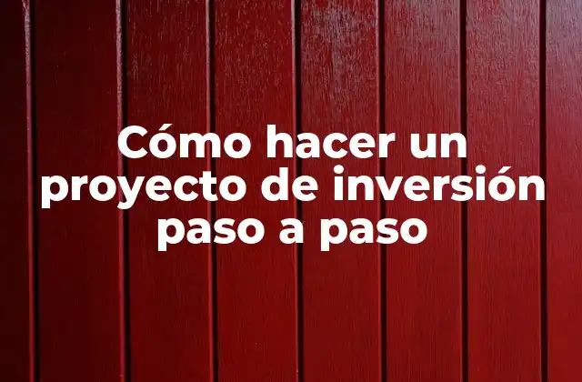 Cómo Hacer un Proyecto de Inversión Paso a Paso