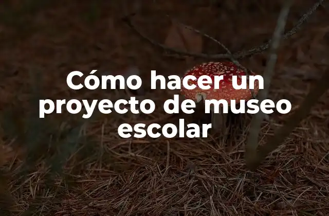 ¿Qué es un proyecto de museo escolar?