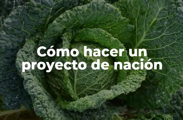 Cómo Hacer un Proyecto de Nación