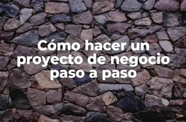 Cómo Hacer un Proyecto de Negocio Paso a Paso 2 ¿Qué es un proyecto de negocio?