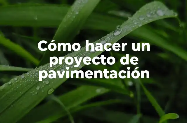 Cómo Hacer un Proyecto de Pavimentación 2 Cómo hacer un proyecto de pavimentación