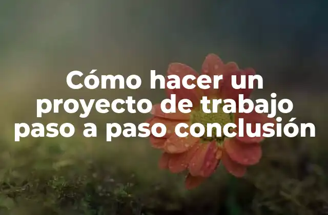 Cómo Hacer un Proyecto de Trabajo Paso a Paso Conclusión 2 Cómo hacer un proyecto de trabajo paso a paso conclusión
