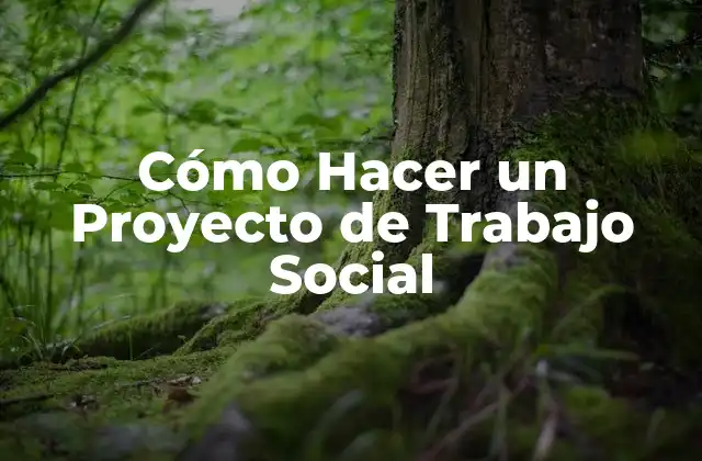Cómo Hacer un Proyecto de Trabajo Social